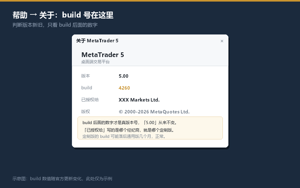 MT5帮助关于窗口:build号与已授权给经纪商的位置